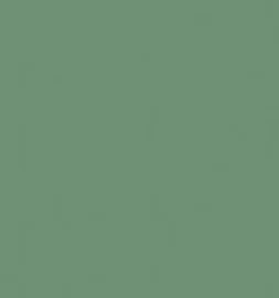 Verde Oliva