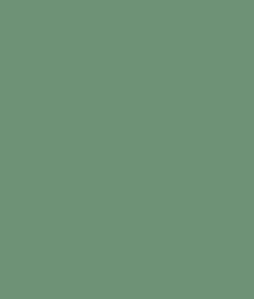 Verde Oliva